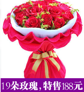 йʻٵƼ19õ
