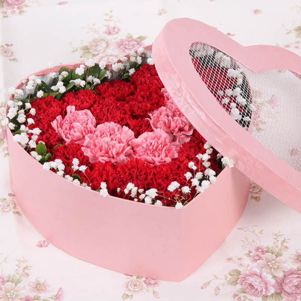 鲜花图片