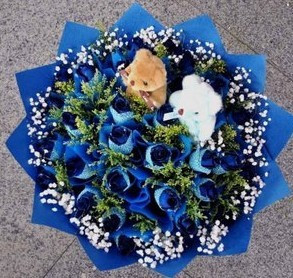 鲜花图片