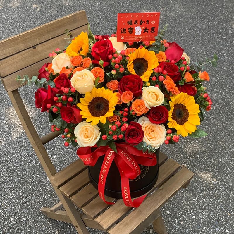 ϲǨ��������